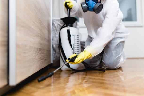Professional Pest Control in Calhoun Falls, SC