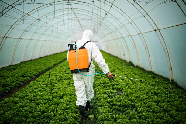 Best Pest Control Treatment  in Calhoun Falls, SC