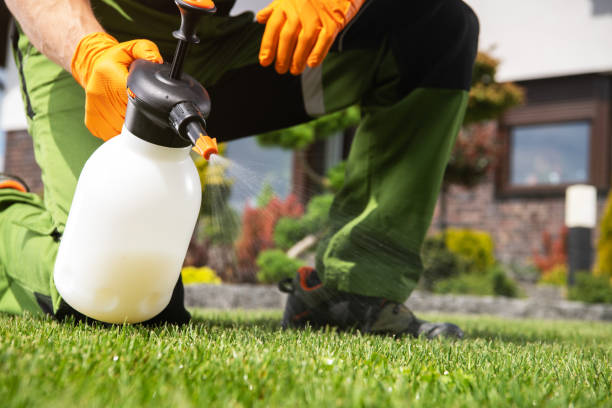 Best Commercial Pest Control Services  in Calhoun Falls, SC