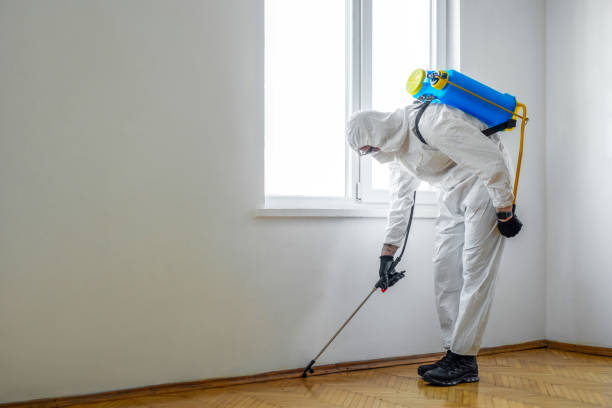 Best Wasp Removal Services  in Calhoun Falls, SC
