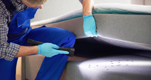 Best Termite Control Services  in Calhoun Falls, SC