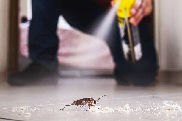 Best Commercial Pest Control Services  in Calhoun Falls, SC