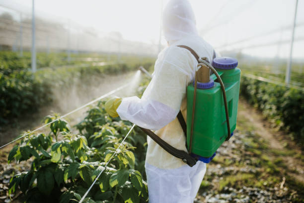 Best Pest Control Near Me  in Calhoun Falls, SC